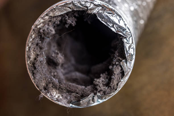 Best Affordable Duct Cleaning Services  in Lakeshire, MO